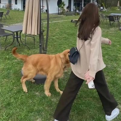激情燃烧的岁月3